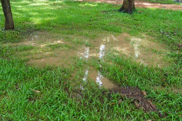 Cost of Storm Water Drainage Service in Menomonee Falls