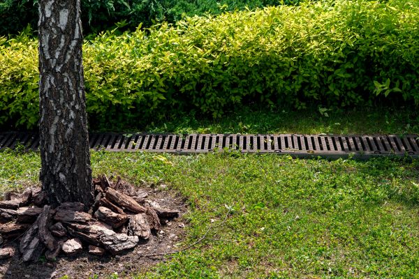 Cost of Wet Yard Drainage in Menomonee Falls