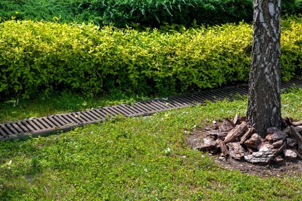Cost of Residential Landscape Drainage in Menomonee Falls