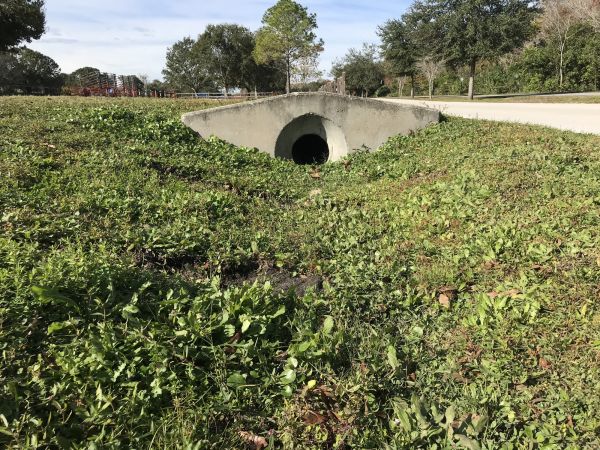 Cost of Swale Drainage Service in Menomonee Falls